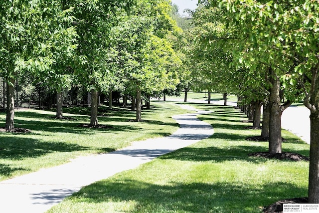 1809 S 220th Ave, Omaha, NE 68022 - view of property's community featuring a lawn