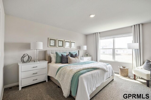 7232 S 204th Ave, Gretna, NE 68028 - bedroom with dark colored carpet, baseboards, and recessed lighting