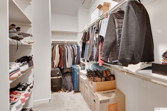11511 S 190th St, Gretna, NE 68028 - walk in closet featuring light colored carpet