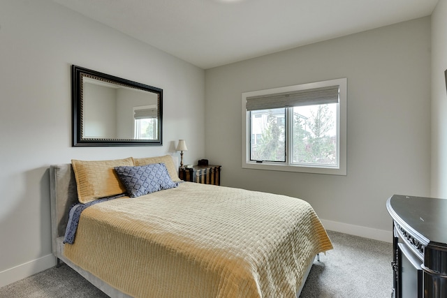 11511 S 190th St, Gretna, NE 68028 - bedroom featuring baseboards and carpet flooring