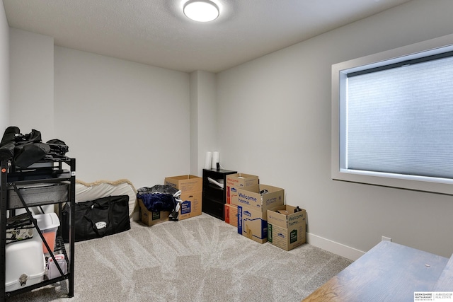 11511 S 190th St, Gretna, NE 68028 - miscellaneous room with carpet flooring and baseboards