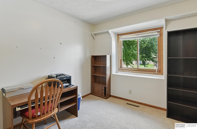 12335 Wirt St, Omaha, NE 68164 - office area with carpet and baseboards
