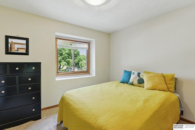 12335 Wirt St, Omaha, NE 68164 - bedroom with carpet and baseboards
