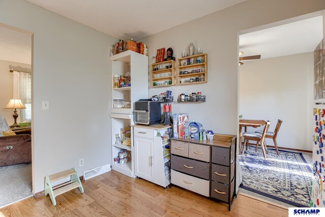 253 S 110th St, Omaha, NE 68154 - home office with light wood-style flooring and ceiling fan