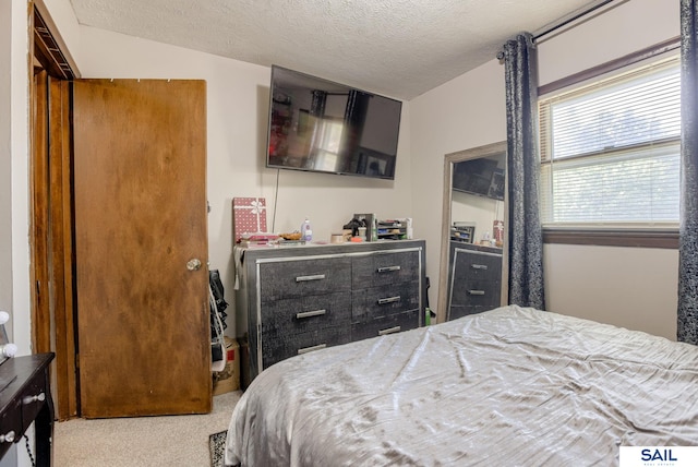 253 S 110th St, Omaha, NE 68154 - bedroom with carpet floors and a textured ceiling