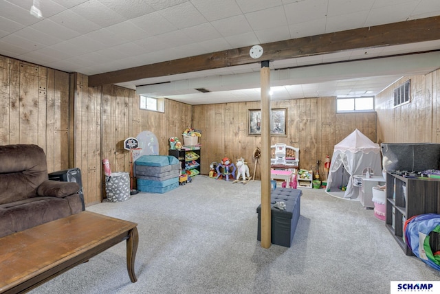 253 S 110th St, Omaha, NE 68154 - basement featuring wood walls, healthy amount of natural light, and carpet
