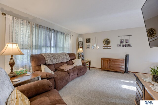 253 S 110th St, Omaha, NE 68154 - carpeted living room with baseboards
