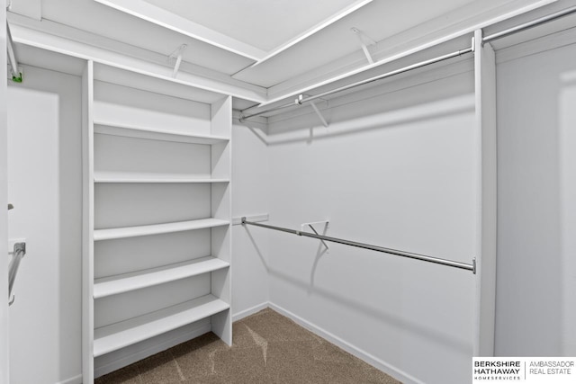 17409 Webster Blvd, Plattsmouth, NE 68048 - walk in closet with carpet