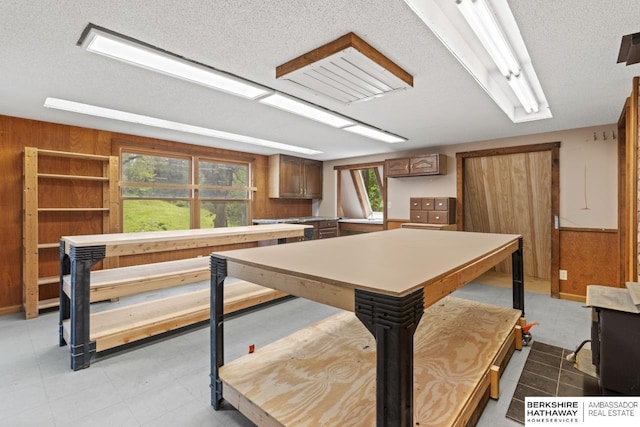 17409 Webster Blvd, Plattsmouth, NE 68048 - rec room with wood walls and a textured ceiling