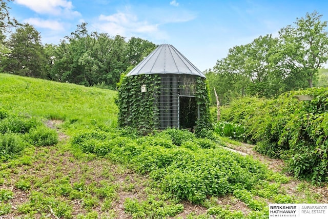 17409 Webster Blvd, Plattsmouth, NE 68048 - view of yard
