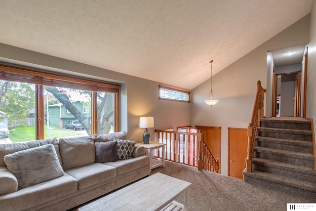 7824 La Vista Dr, La Vista, NE 68128 - living area featuring vaulted ceiling and carpet flooring