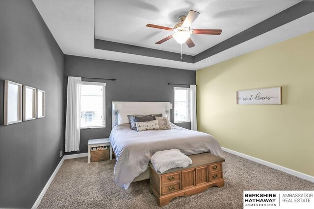 14807 S 24th St, Bellevue, NE 68123 - bedroom featuring a tray ceiling, carpet flooring, baseboards, and ceiling fan