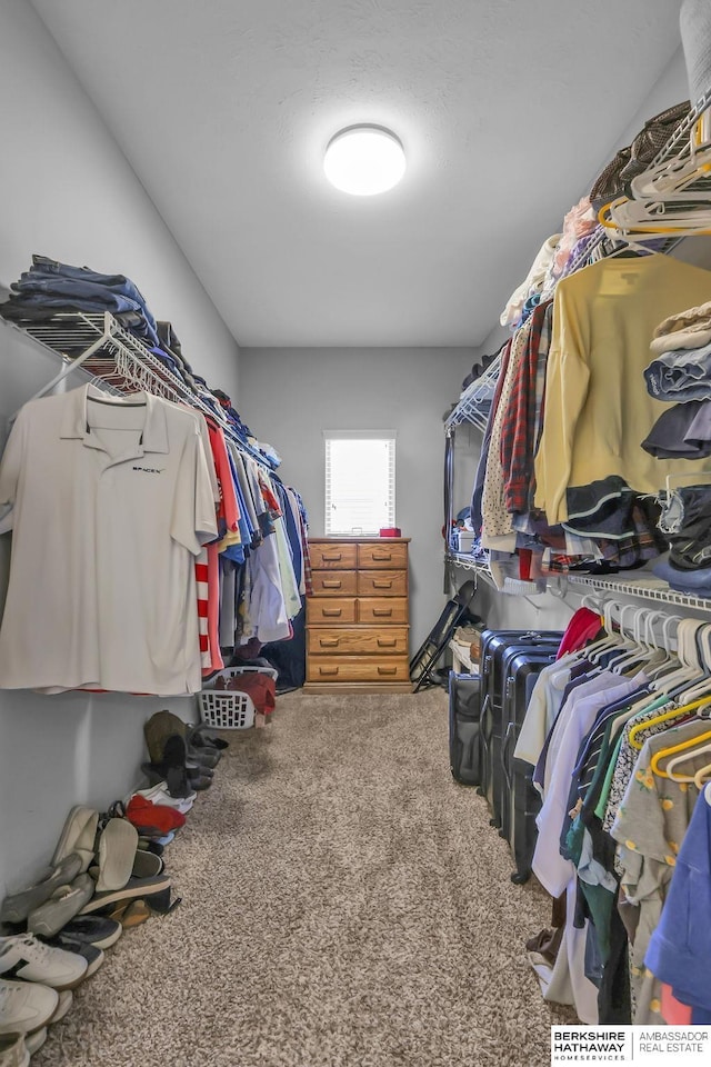 14807 S 24th St, Bellevue, NE 68123 - spacious closet featuring carpet