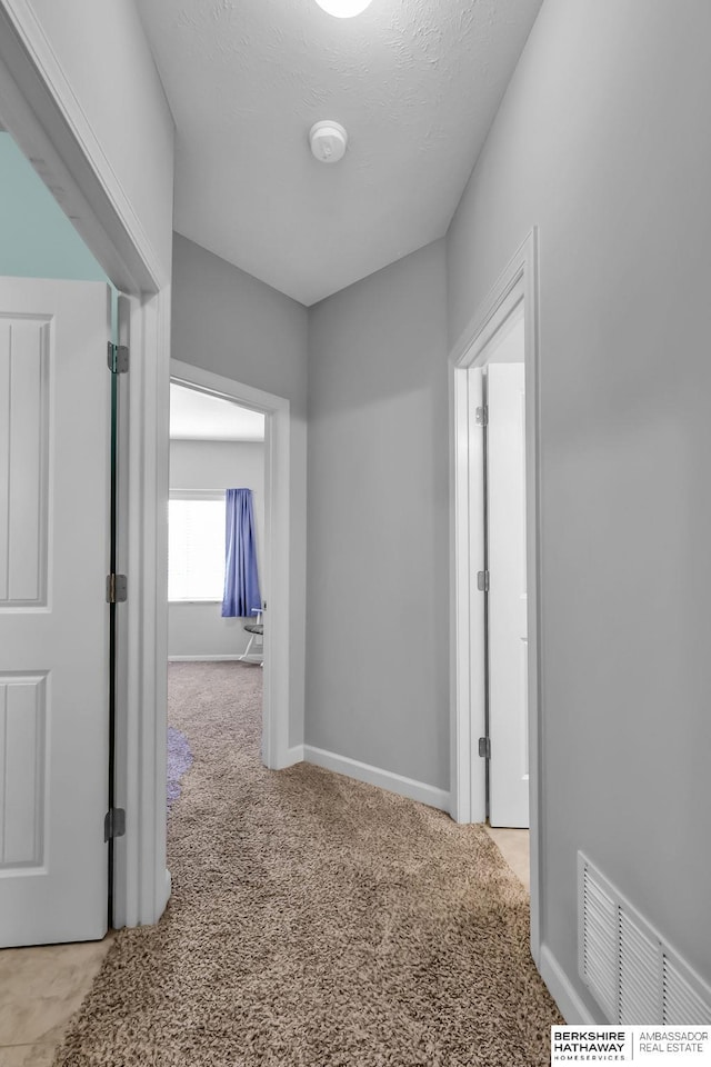 14807 S 24th St, Bellevue, NE 68123 - corridor featuring carpet and baseboards