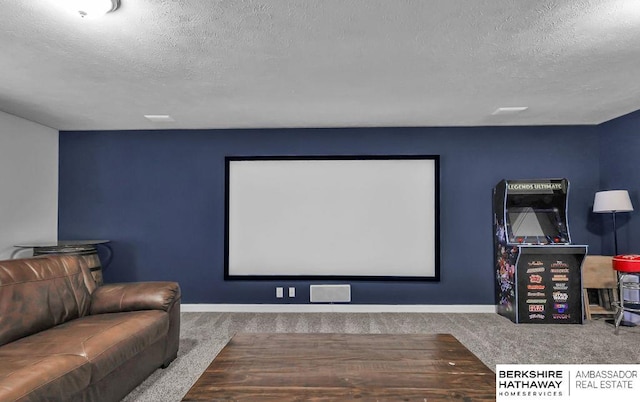 14807 S 24th St, Bellevue, NE 68123 - cinema room featuring carpet, a textured ceiling, and baseboards