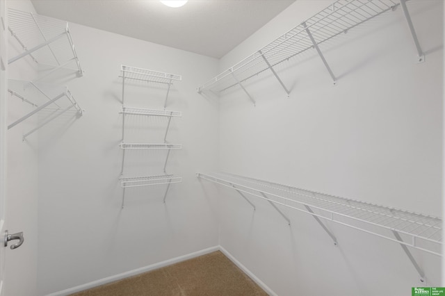4602 N 155th Ave, Omaha, NE 68116 - spacious closet with carpet floors