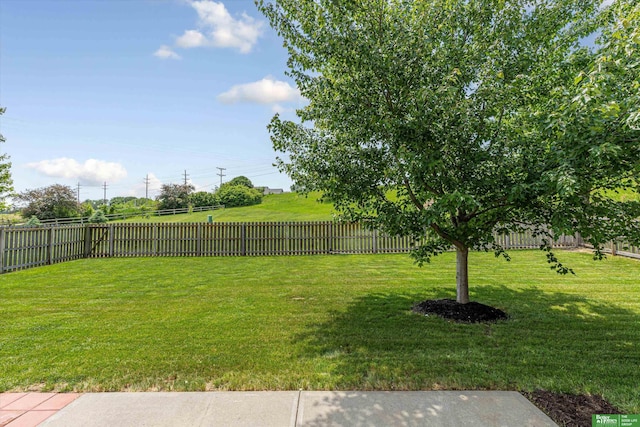 4602 N 155th Ave, Omaha, NE 68116 - view of yard
