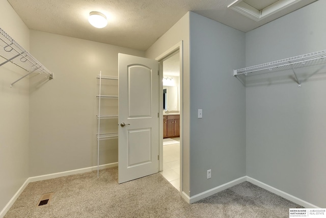 18337 Polk St, Omaha, NE 68135 - spacious closet with carpet floors