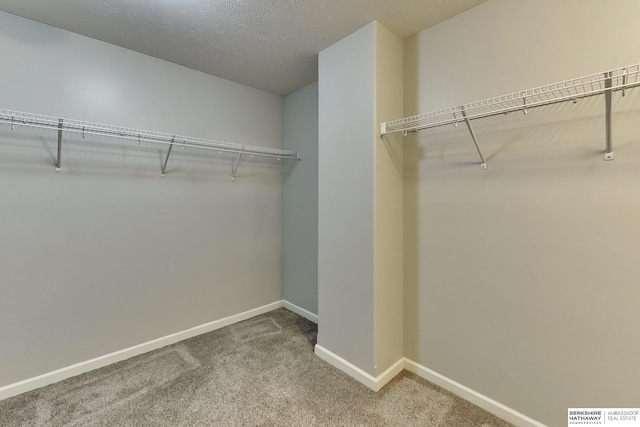 18337 Polk St, Omaha, NE 68135 - spacious closet with carpet floors