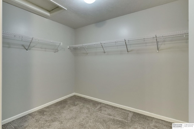 18337 Polk St, Omaha, NE 68135 - spacious closet with carpet flooring and attic access