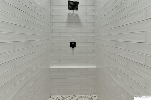 18337 Polk St, Omaha, NE 68135 - bathroom featuring tiled shower