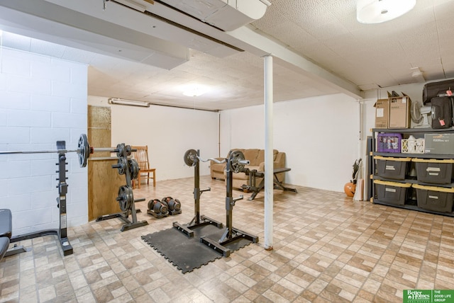 1008 J E George Blvd, Omaha, NE 68132 - workout area with brick patterned flooring