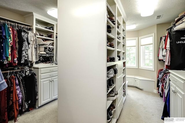 12829 Izard St, Omaha, NE 68154 - spacious closet with light carpet