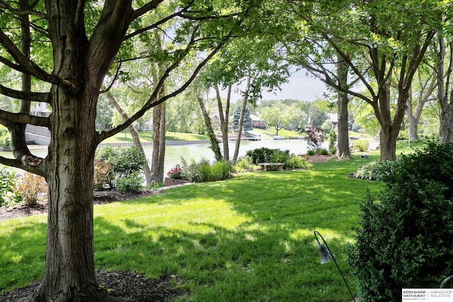 12829 Izard St, Omaha, NE 68154 - view of green lawn featuring a water view