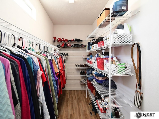 7615 Greycliff Dr, Lincoln, NE 68516 - walk in closet with wood finished floors