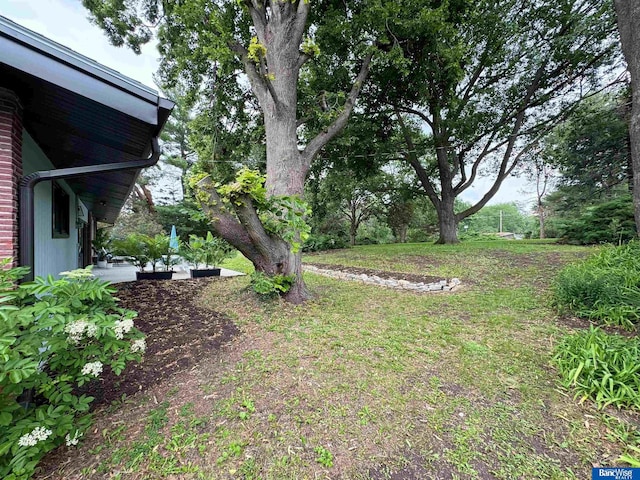 5941 Margo Dr, Lincoln, NE 68510 - view of green lawn