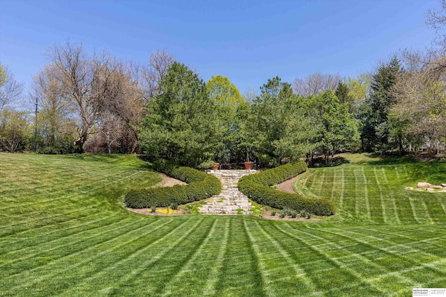 1215 N 136th St, Omaha, NE 68154 - view of green lawn