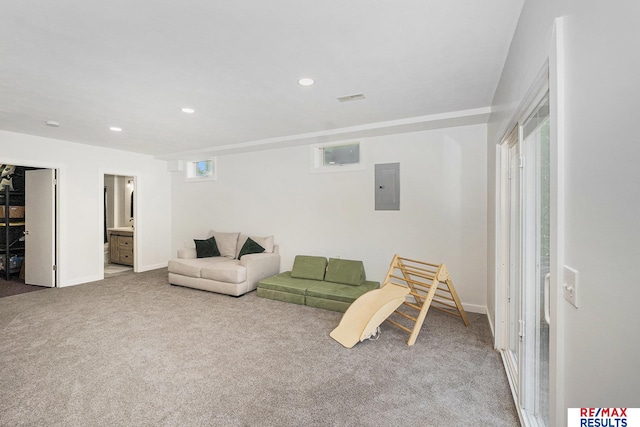 21808 Hilltop Ave, Gretna, NE 68028 - carpeted living room with electric panel and recessed lighting
