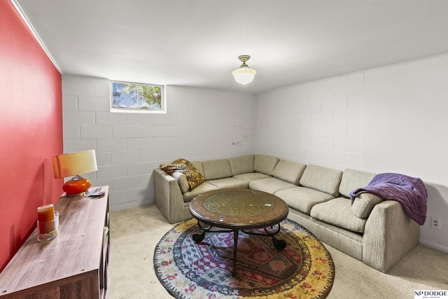 15410 Bennington Rd, Bennington, NE 68007 - carpeted living room with concrete block wall