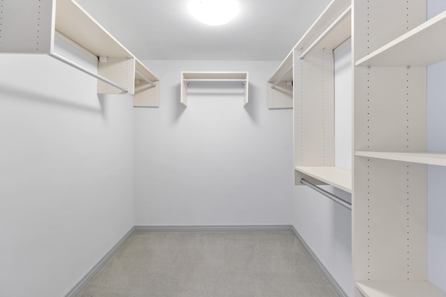 3200 Farnam Ct Unit 3604, Omaha, NE 68131 - walk in closet featuring carpet flooring