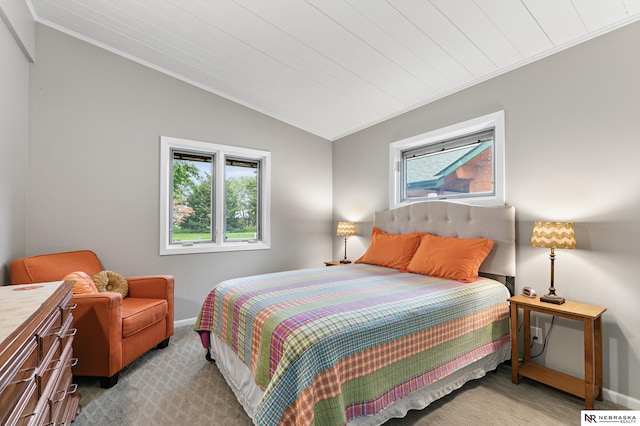 112 W Lakeshore Dr, Lincoln, NE 68528 - carpeted bedroom featuring vaulted ceiling, baseboards, and ornamental molding