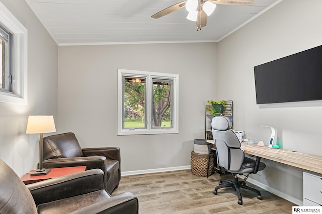 112 W Lakeshore Dr, Lincoln, NE 68528 - office space featuring crown molding, light wood-type flooring, ceiling fan, vaulted ceiling, and baseboards