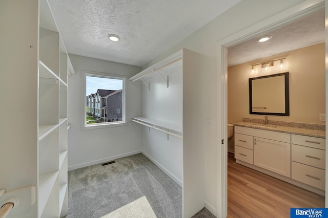 3556 Pearl Crescent Dr, Lincoln, NE 68504 - walk in closet featuring a sink
