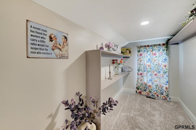 149 N 1st St, Seward, NE 68434 - bathroom featuring vaulted ceiling, baseboards, and recessed lighting