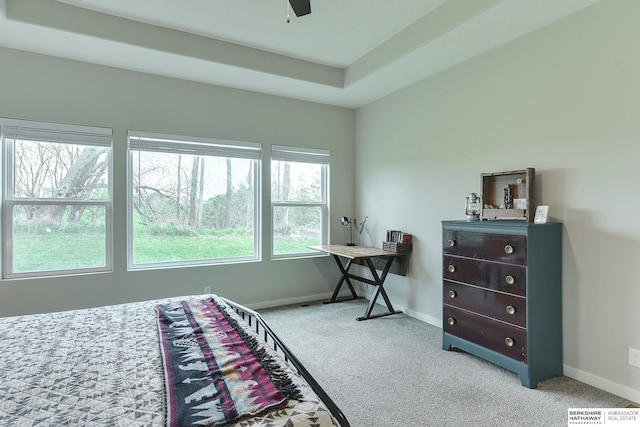 8622 N 177th St, Bennington, NE 68007 - carpeted bedroom featuring baseboards and a raised ceiling