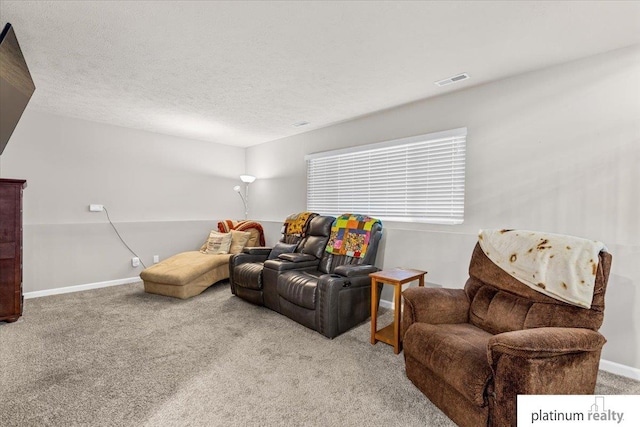 7784 N 88th Ave, Omaha, NE 68122 - living room with carpet and a textured ceiling