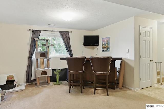 7628 Bondesson St, Omaha, NE 68122 - indoor dry bar with carpet, a textured ceiling, and baseboards