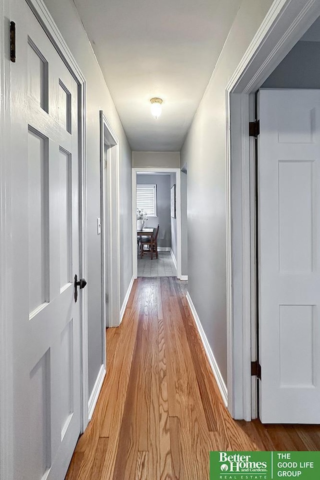 3869 Arbor St, Omaha, NE 68105 - corridor featuring light wood-style flooring and baseboards