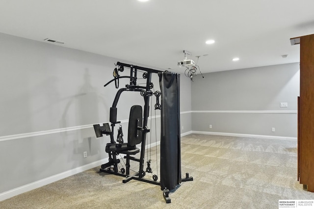8925 N 159th Ave, Bennington, NE 68007 - exercise area with carpet floors, recessed lighting, and baseboards