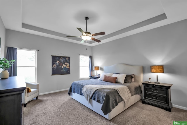 6011 S 193rd St, Omaha, NE 68135 - bedroom featuring a tray ceiling, carpet, baseboards, and ceiling fan