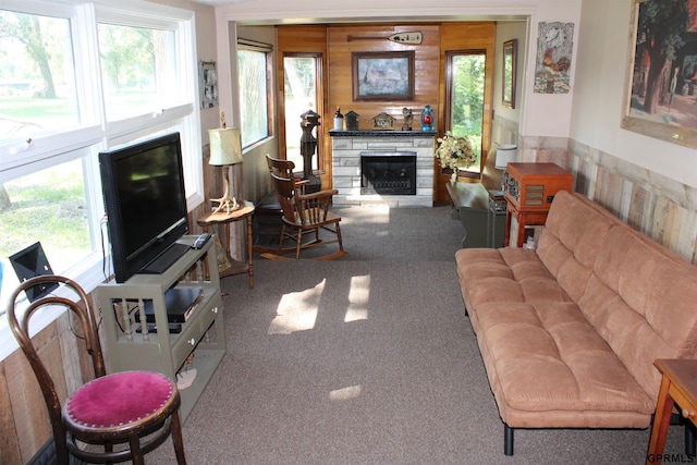 23809 F Plz Unit 9, Waterloo, NE 68069 - living area featuring a stone fireplace and carpet floors