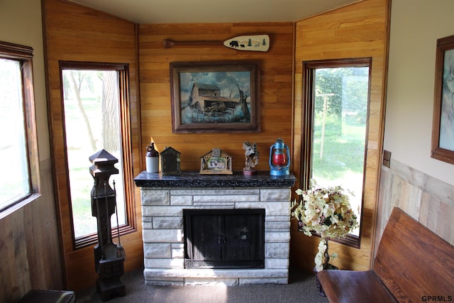 23809 F Plz Unit 9, Waterloo, NE 68069 - living room with wooden walls, a fireplace, and plenty of natural light