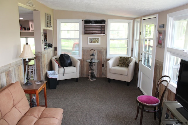 23809 F Plz Unit 9, Waterloo, NE 68069 - living room featuring dark carpet, vaulted ceiling, a textured ceiling, and an AC wall unit