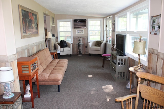 23809 F Plz Unit 9, Waterloo, NE 68069 - sunroom with vaulted ceiling