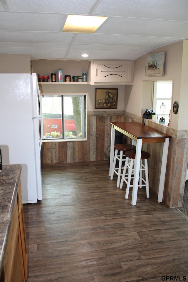 23809 F Plz Unit 9, Waterloo, NE 68069 - kitchen featuring freestanding refrigerator, dark wood-style flooring, and white cabinetry