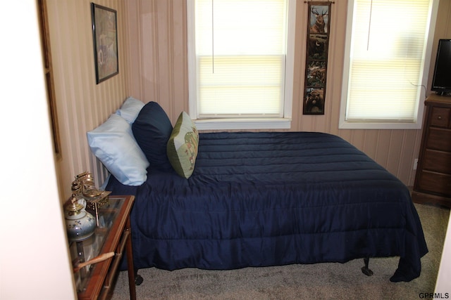 23809 F Plz Unit 9, Waterloo, NE 68069 - bedroom featuring carpet flooring